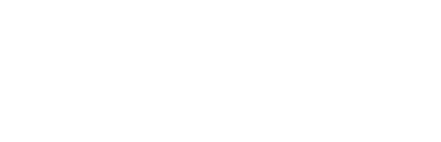 Visa Payment Accepted
